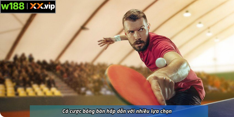 Cá cược bóng bàn hấp dẫn với nhiều lựa chọn