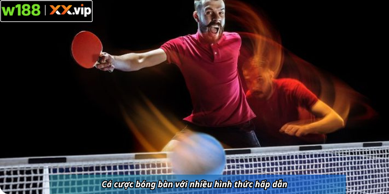 Cá cược bóng bàn với nhiều hình thức hấp dẫn