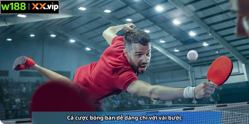 Cá cược bóng bàn dễ dàng chỉ với vài bước