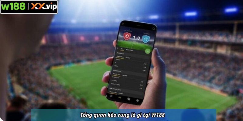 Tổng quan kèo rung là gì tại W188