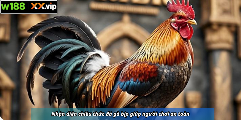 Nhận diện chiêu thức đá gà bịp giúp người chơi an toàn