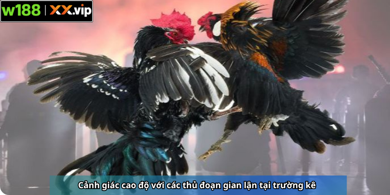 Cảnh giác cao độ với các thủ đoạn gian lận tại trường kê