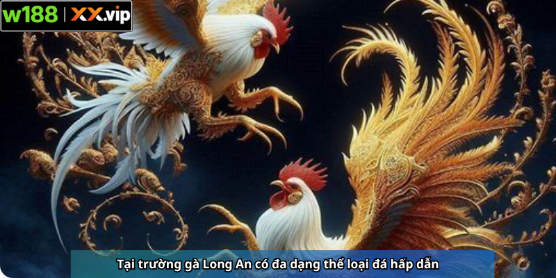Tại trường gà Long An có đa dạng thể loại đá hấp dẫn