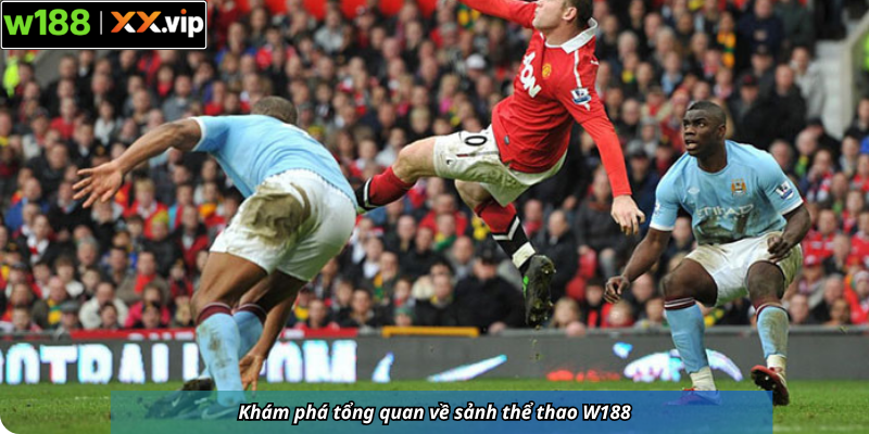 Khám phá tổng quan về sảnh thể thao W188