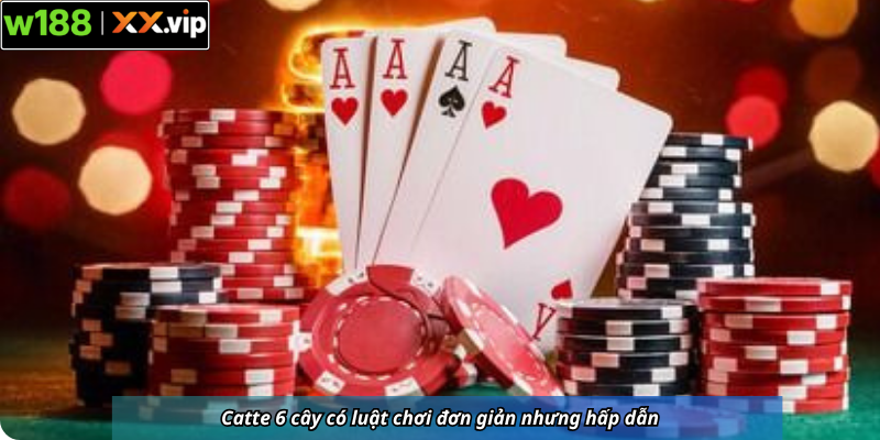 Catte 6 cây có luật chơi đơn giản nhưng hấp dẫn