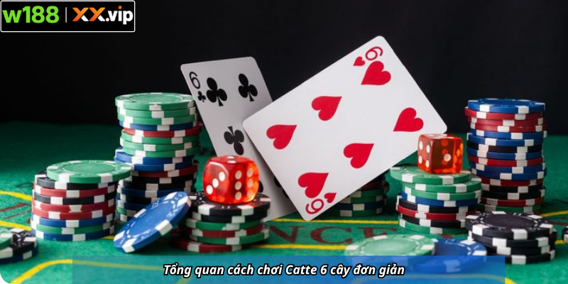 Tổng quan cách chơi Catte 6 cây đơn giản