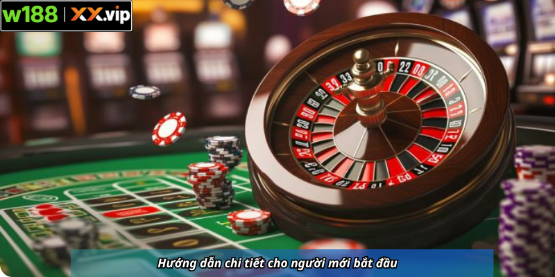 Hướng dẫn chi tiết cho người mới bắt đầu